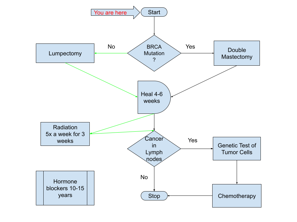 flowchart describing cancer treatment plan